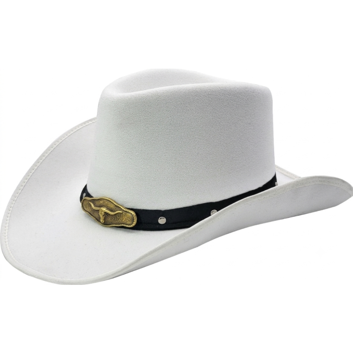 Fancy Western Cowboy Hat