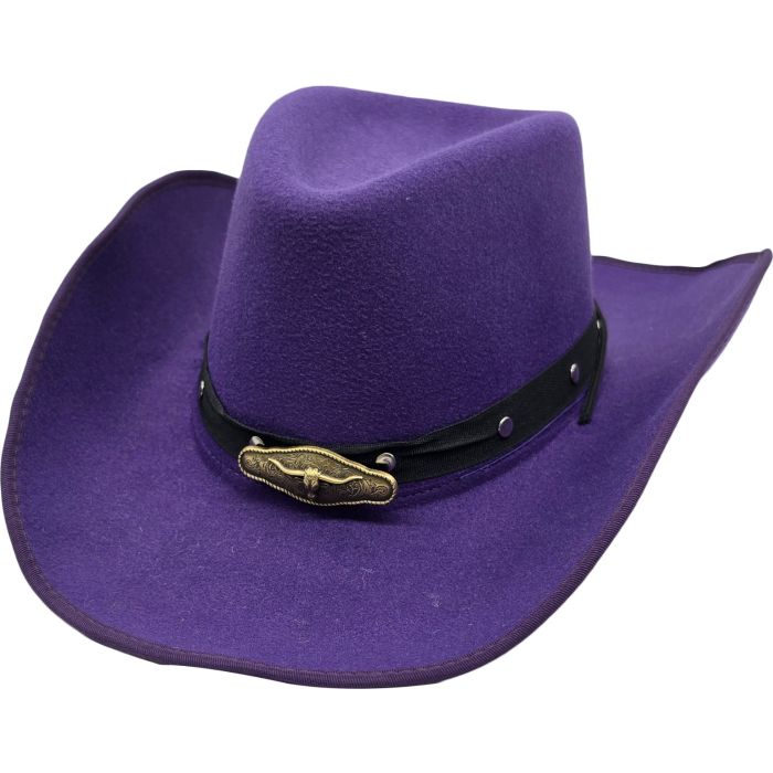 Fancy Western Cowboy Hat