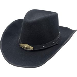 Fancy Western Cowboy Hat