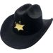 Fancy Party Cowboy Hat