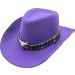 Western Cowboy Hat with Bull Skull Band